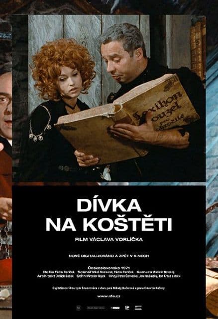 Dívka na koštěti (KVFFP)