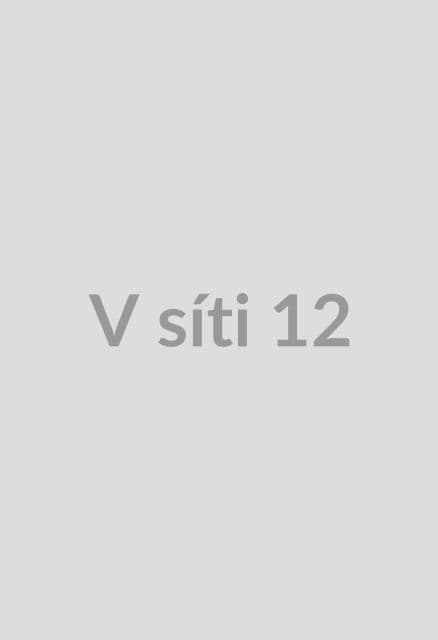 V síti 12+